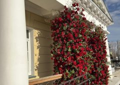 Ресторан «Osteria Dolce», Екатеринбург,  Верх-Исетский бульвар,  9