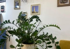 Кофейня, кафе «Цивилизация», Казань,  улица Алексея Козина,  8
