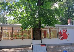Кафе «Матрёшка», Тула,  Первомайская улица,  13а к19
