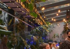 Кафе, доставка «Jungle», Санкт-Петербург,  набережная канала Грибоедова,  18-20