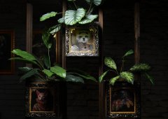 Lounge bar, кальянная «Характер», Сочи,  Урицкого,  16/4