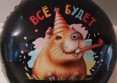 Суши-бар, пиццерия, бар, доставка «Капибара суши», Липецк,  Заводская площадь,  4