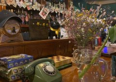 Бар, кафе, паб, доставка «Молли Айленд», Санкт-Петербург,  Морская набережная,  15 лит А