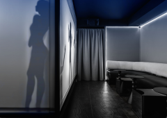 Стриптиз-клуб, ночной клуб, бар, lounge bar «Тени Эроммерсивный бар», Санкт-Петербург,  Невский проспект 74-76