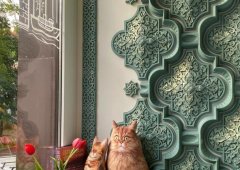 Кофейня, кафе «Lale Istanbul», Сочи,  улица Роз,  36