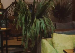 Lounge bar, кальянная «Bali Lounge», Санкт-Петербург,  Чкаловский проспект 5
