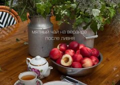 Ресторан «Огородники», Санкт-Петербург,  Институтский проспект,  22 лит А