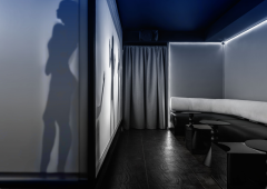 Стриптиз-клуб, ночной клуб, бар, lounge bar «Тени Эроммерсивный бар», Санкт-Петербург,  Невский проспект 74-76