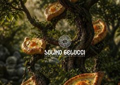 Ресторан «Suliko belucci», Воронеж,  Плехановская улица,  6
