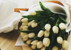Кафе, пиццерия «Пицца на Первомайской», Липецк,  Первомайская улица,  78