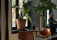 Ресторан «Tiger Lily», Санкт-Петербург,  Невский проспект,  48