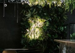 Кафе, спорт-бар, кальянная, lounge bar «Jojo», Казань,  Чистопольская улица,  19г
