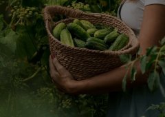 Доставка «Вкусно — и точка», Липецк,  проспект имени 60-летия СССР,  22