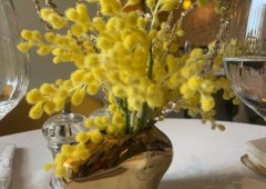 Ресторан «Mimosa», Екатеринбург,  проспект Ленина,  25