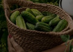 Доставка «Вкусно — и точка», Липецк,  проспект имени 60-летия СССР,  22