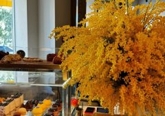 Ресторан «Mimosa», Екатеринбург,  проспект Ленина,  25