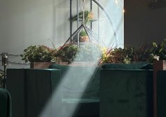 Кальянная, ресторан, кафе, бар, lounge cafe, lounge bar «Root Lounge», Санкт-Петербург,  Большой проспект В.О.,  38