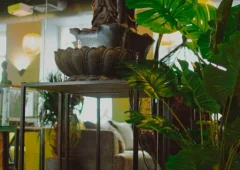 Lounge bar, кальянная «Bali Lounge», Санкт-Петербург,  Чкаловский проспект 5